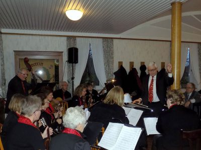 Das Mandolinenorchester Emsdetten