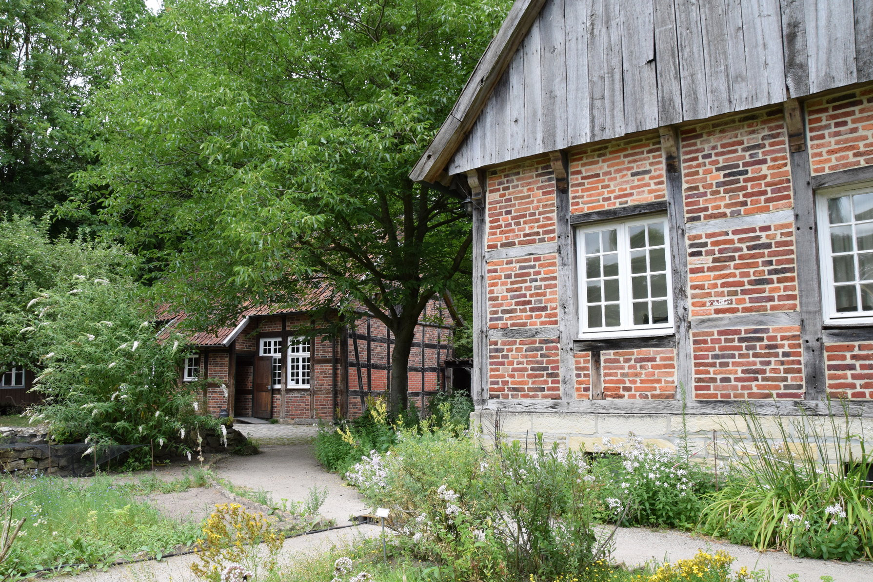 Sommerfest 11